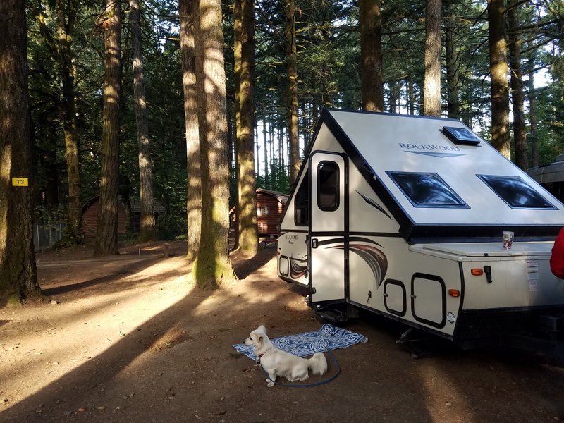 2016 Forest River Rockwood Hard Side A128S, Folding Trailers RV For